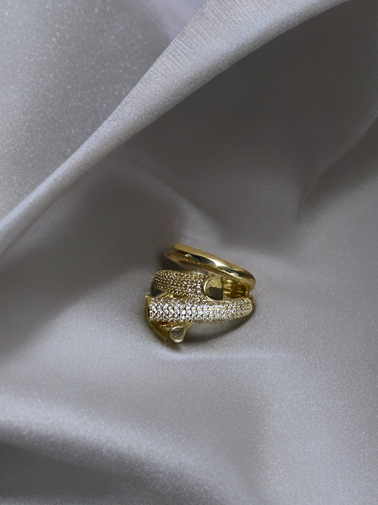 Entangled Ring